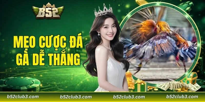 mẹo cược đá gà dễ thắng